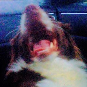 Meet your Posher, Marky